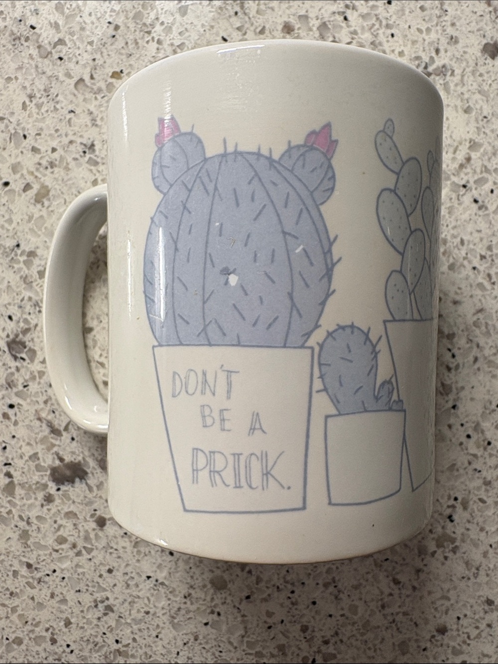 Gypsy Warrior Ceramic Cactus Mug, Faded Print